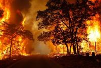 В Австралии лесные пожары уничтожили более 100 домов
