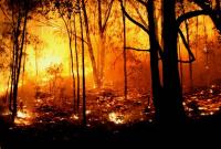 Во Франции горят 650 га горных лесов