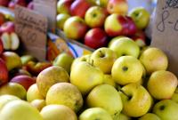 В России уничтожили 22 тонны украинских яблок (видео)