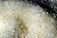 Ученые сравнили вред сахара с кокаином