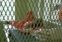 США передали Саудовской Аравии девять заключенных Гуантанамо