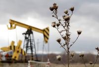 Цены на нефть упали после недостижения согласия на переговорах по ограничению добычи нефти