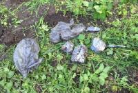 В Одессе в парке обнаружили взрывчатку и боеприпасы