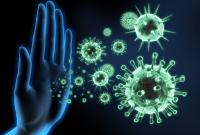 Ученые победили вирус герпеса