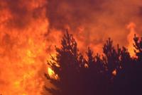 Из-за лесных пожаров в Калифорнии эвакуировали более 2 тысяч человек