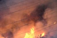 В Колорадо из-за лесного пожара эвакуировали более 2 тысяч человек