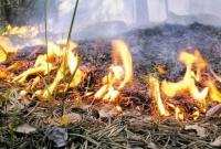 ГСЧС предупреждает о высокой опасности пожаров до конца недели