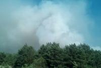 Пожар на полигоне в Черниговской области: военная прокуратура назвала причину возгорания