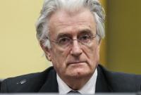 Лидер боснийский сербов Караджич обжалует приговор Гаагского трибунала