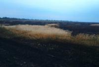 Огнем в Днепропетровской области уничтожено 20 гектаров озимой пшеницы