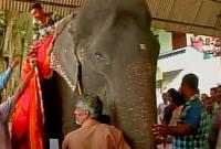Праздник для самого "старого" в мире слона устроили в Индии