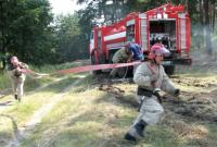 Чрезвычайная пожароопасность в Украине сохранится до 1 августа, - ГСЧС