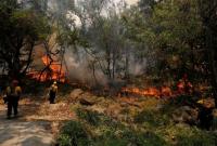 Масштабные пожары в Калифорнии: эвакуированы сотни компаний