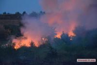 В Николаеве горела стихийная свалка: один из районов города полностью затянут дымом (видео)