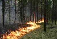 В Киеве с 1 по 3 июля ожидается чрезвычайная пожарная опасность