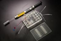 Учёные создали "почку на чипе" для тестирования лекарств