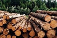 Украина намерена урегулировать вопрос экспорта древесины по нормам ВТО и ЕС