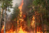 Из-за пожаров в Амурской области РФ ввели режим чрезвычайной ситуации