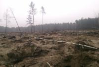 Пограничники показали незаконные янтарные "плантации" на Полесье с высоты птичьего полета (видео)