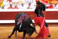 В Испании запретили убивать быка во время традиционного фестиваля