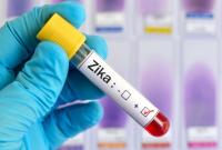 ​ВОЗ: вирус Зика может распространиться на побережье Черного моря