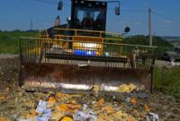 В России бульдозер раздавил 178 тонн "санкционных" яблок