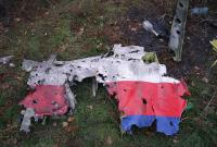 Ответственность за крушение MH17 должен нести Путин - адвокат