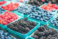 Минагропрод хочет отправить фрукты и ягоды на экспорт в Китай