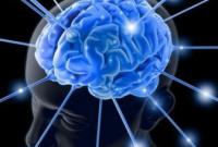 Ученые нашли доказательства повреждения мозга в результате стресса
