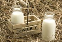 Прибыльность молочных ферм снизилась на 30% в 2015 году