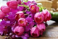 Тюльпаны, розы и мимозы: во сколько обойдется поздравить женщин с 8 Марта