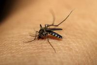 Ученые разработали новый препарат против малярии