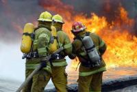 С начала года на пожарах в Украине погибло 460 человек