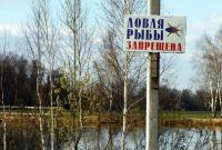 Нерестовый запрет на вылов рыбы стартует в Украине с 1 апреля