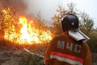 С начала года на пожарах в Украине погибло почти 1300 человек