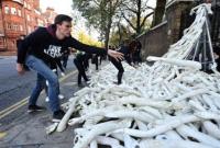 В Лондоне посольство РФ забросали пластиковыми конечностями из-за ситуации в Сирии