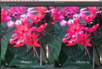 В iPhone 7 нашли проблемы с камерой