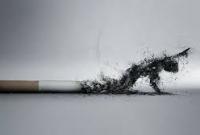 Ученые выяснили, как курение вызывает рак