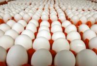 В Украине производство яиц за 10 месяцев сократилось на 10,5%