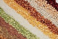 Налоговики разоблачили незаконный экспорт зерна на около 5 млн грн