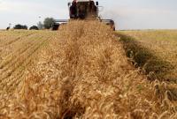 Украина собрала рекордный урожай, но хлеб может подорожать