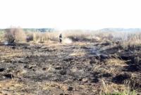 В Полтавской области горит торф на площади 16 га