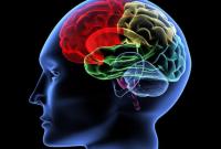 Ученые выяснили, как мозг решает трудные задачи