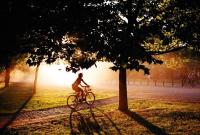 Езда на велосипеде может спасти от диабета