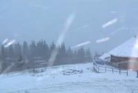 Появилось видео первого снега в Украине