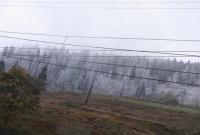 На границе Львовской и Закарпатской областей выпал снег