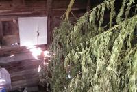 Правоохранители изъяли в Запорожье 10 кг марихуаны стоимостью 400 тыс. грн