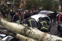 В Одессе сообщили о втором погибшем в результате шторма