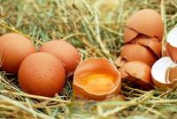 В Украине производство яиц за 9 месяцев сократилось на 11%