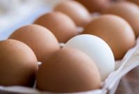 В Украине резко подскочили цены на яйца - на 28% за 10 дней